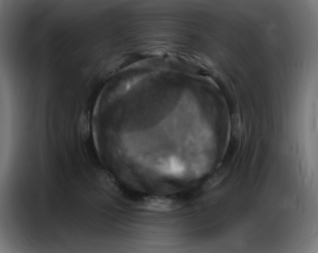 X0000086800471200705041612