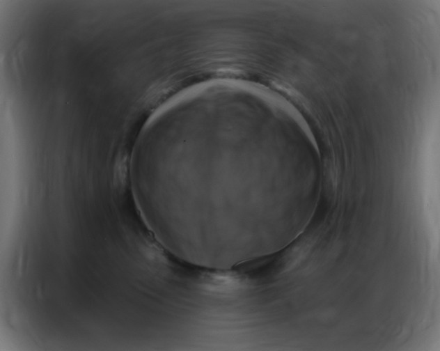 X0000086800475200705041612