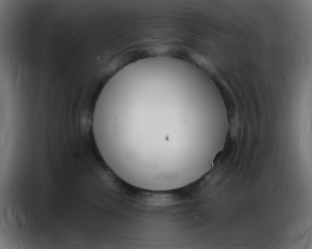 X0000086800476200705041612