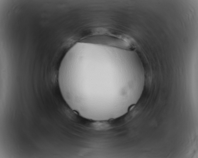 X0000086800477200705041612