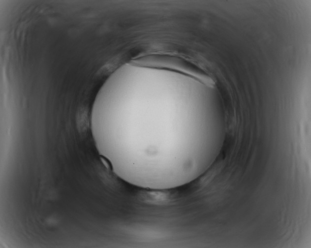 X0000086800478200705041612