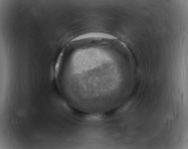 X0000086800479200705041612