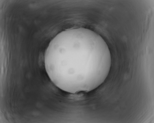 X0000086800480200705041612