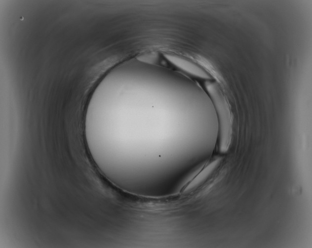 X0000086800481200705041611