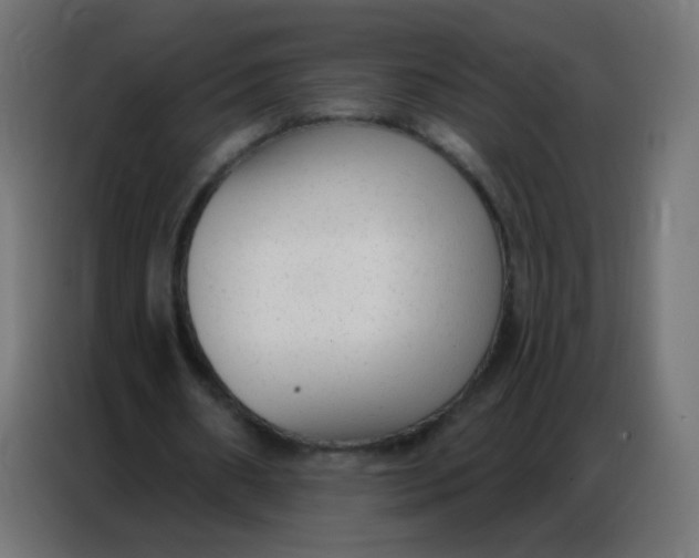 X0000086800482200705041611