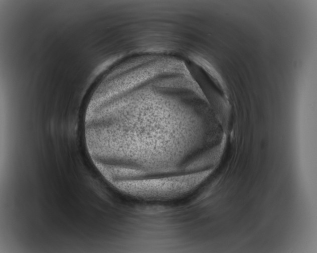 X0000086800483200705041611