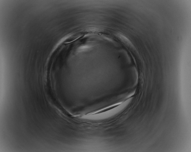 X0000086800484200705041611