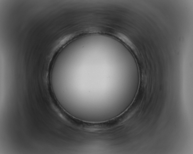 X0000086800485200705041611