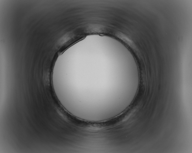 X0000086800489200705041611