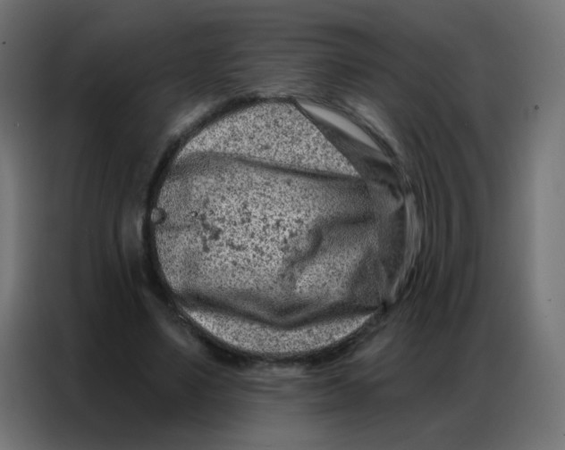 X0000086800491200705041611