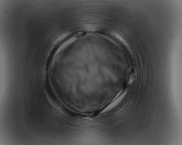 X0000086800492200705041611