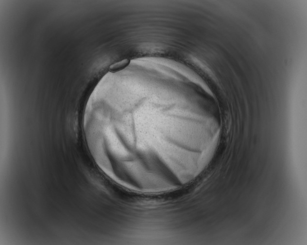 X0000086800494200705041611