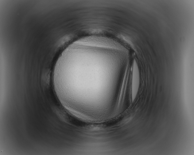 X0000086800495200705041611