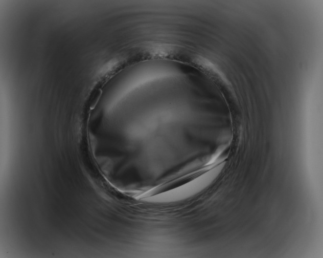 X0000086800496200705041611