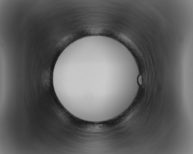 X0000086800497200705041611