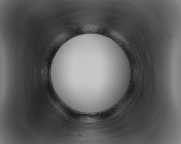 X0000086800498200705041611