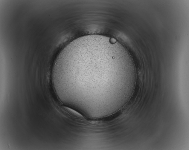 X0000086800499200705041611