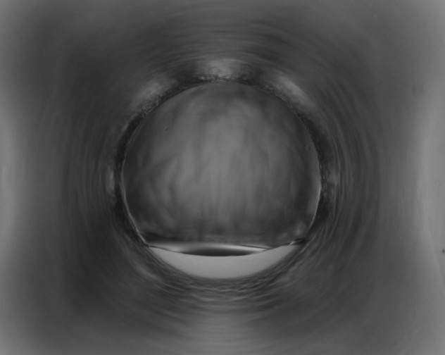 X0000086800500200705041611