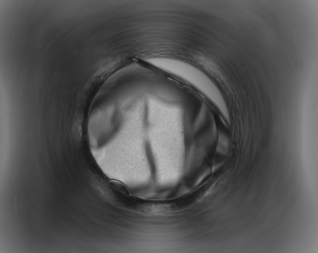 X0000086800501200705041611