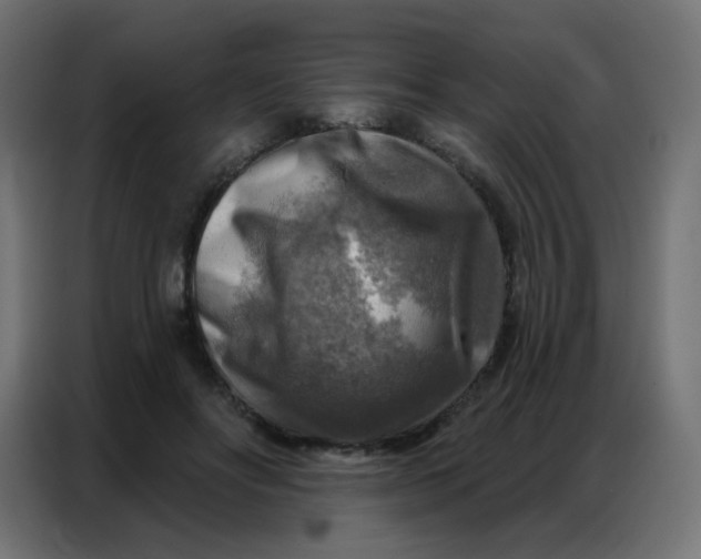 X0000086800502200705041611