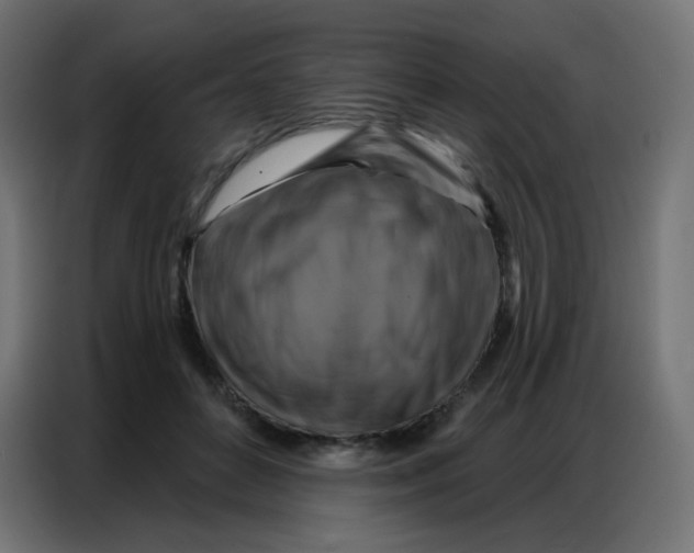 X0000086800504200705041611