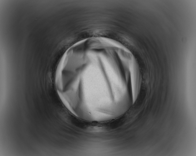 X0000086800506200705041611