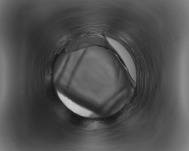 X0000086800507200705041611