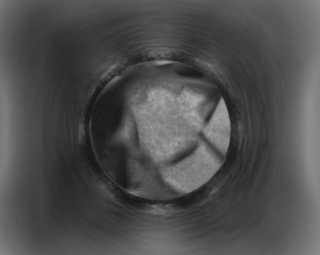 X0000086800508200705041611