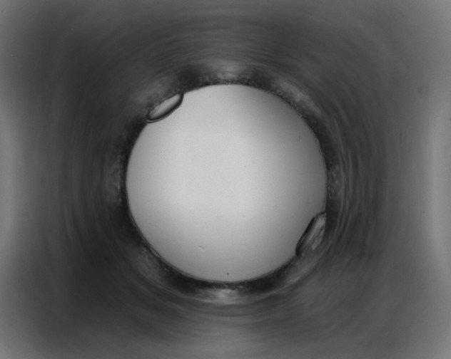 X0000086800509200705041611