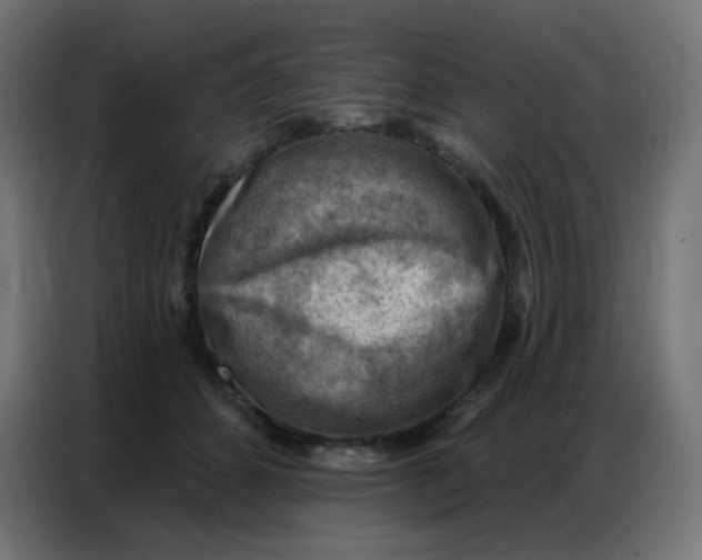 X0000086800512200705041611