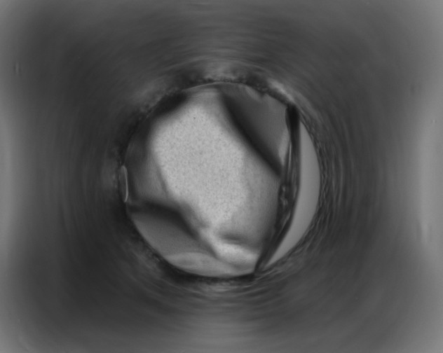 X0000086800513200705041611