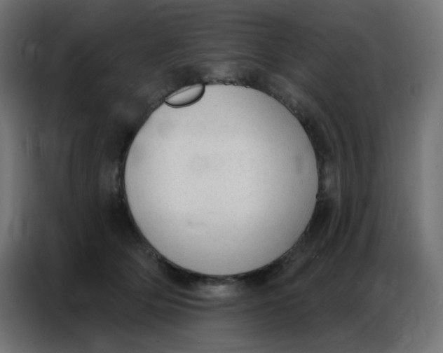 X0000086800514200705041611