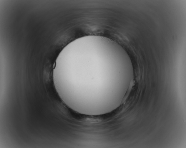 X0000086800515200705041611