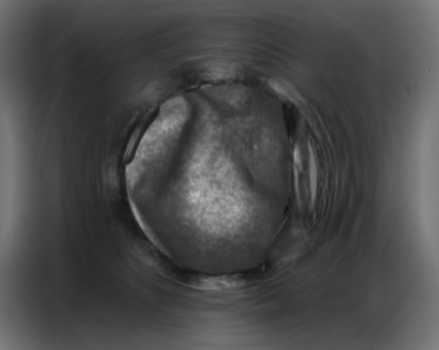 X0000086800516200705041611