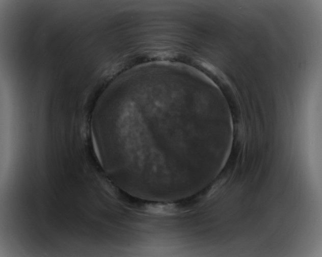 X0000086800517200705041611