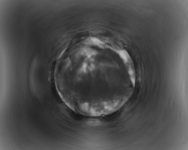 X0000086800519200705041611