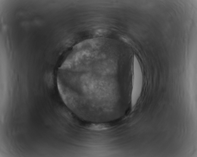 X0000086800520200705041611