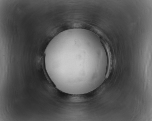 X0000086800521200705041611