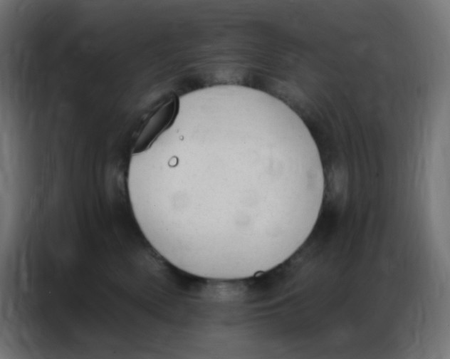 X0000086800522200705041611