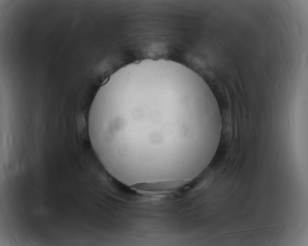 X0000086800523200705041611