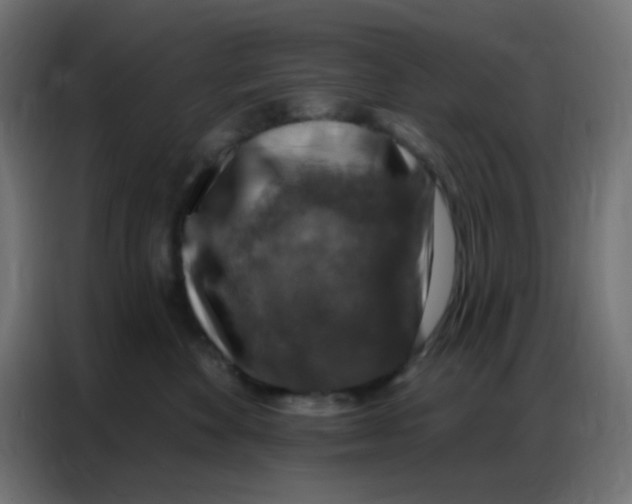 X0000086800524200705041611