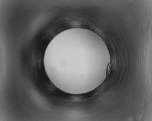 X0000086800525200705041611