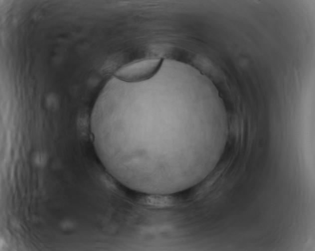 X0000086800526200705041611