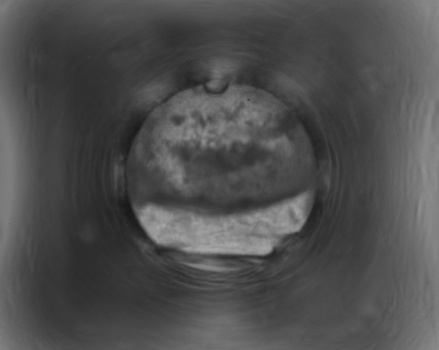 X0000086800527200705041611