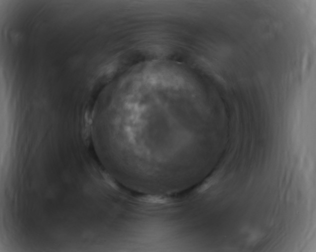 X0000086800528200705041611