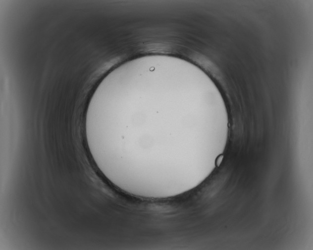 X0000086800529200705041610