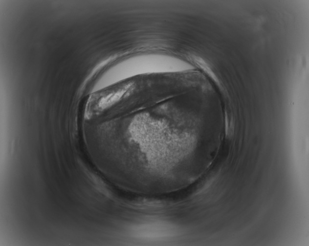 X0000086800531200705041610