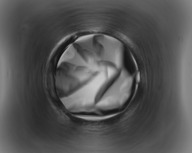 X0000086800532200705041610