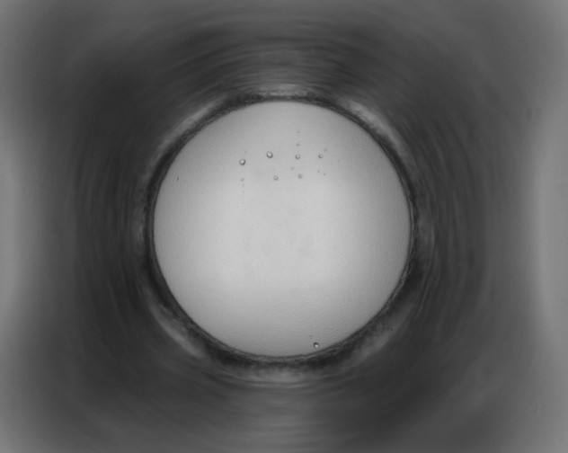 X0000086800533200705041610