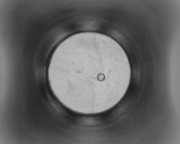 X0000086800534200705041610